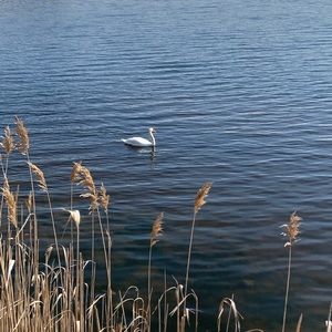 Meet your Posher, Hailey